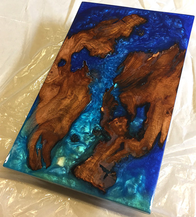 Laurel burl cast in resin- wall art